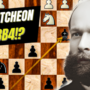 The Best Chess Games of Polina Shuvalova 