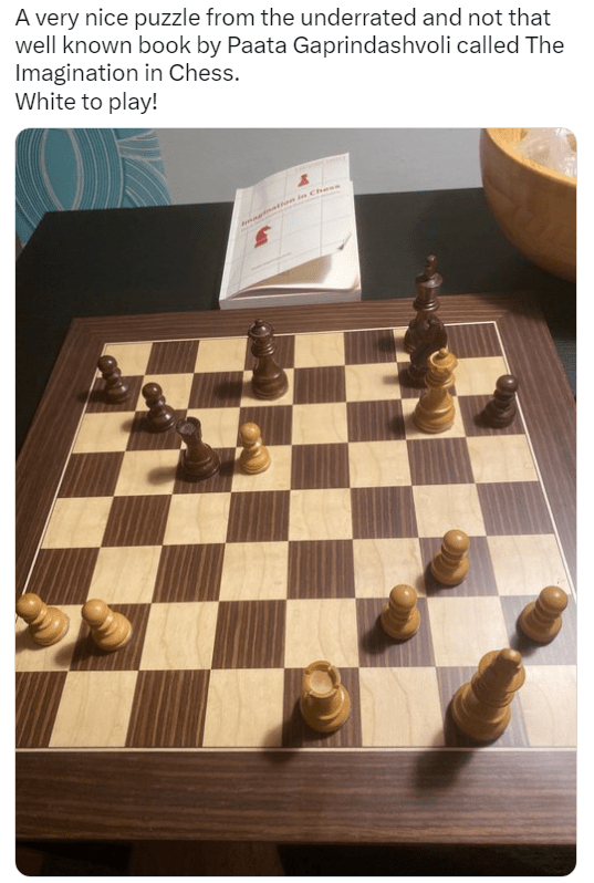 Tata Steel Chess 10: Magnus within striking distance